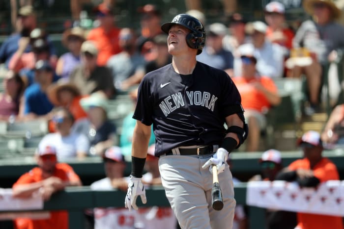 Yankees 3B Josh Donaldson hits home run spring training